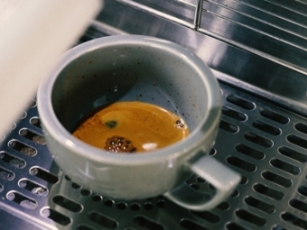 备受争议的猫屎咖啡究竟特别在哪儿？