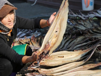 江苏连云港：海岛渔民“晒丰收”